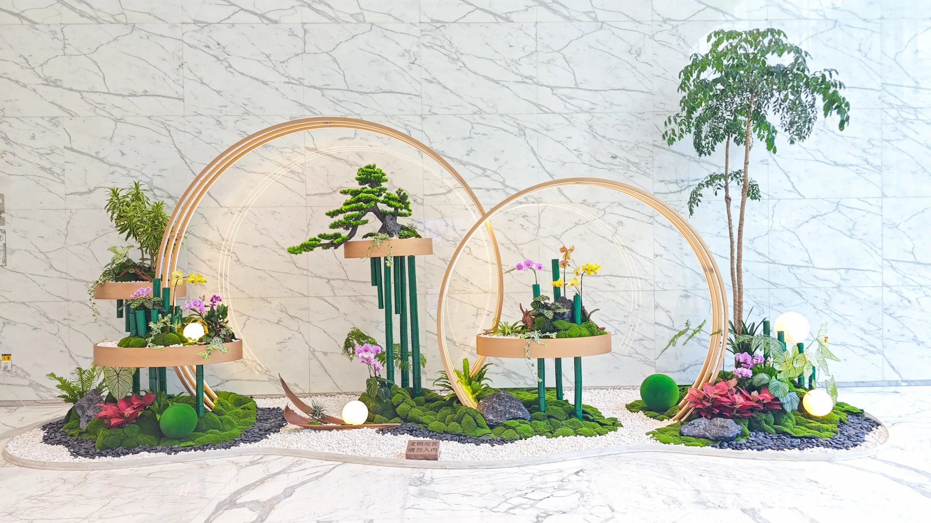 专业服务选前湾花木出租,让你的空间绿意盎然!